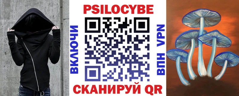 Псилоцибиновые грибы Psilocybe  Купить где  Советская Гавань 